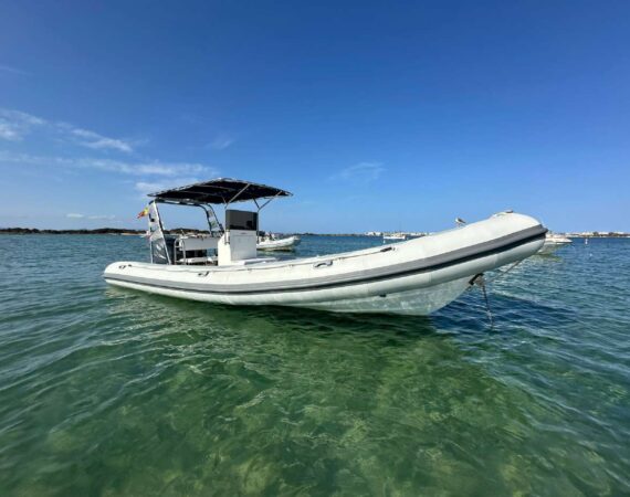 ZODIAC VIGILANT & DIVING VD-750