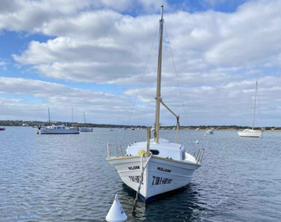 Captura de pantalla 2024-09-06 a las 10.54.46