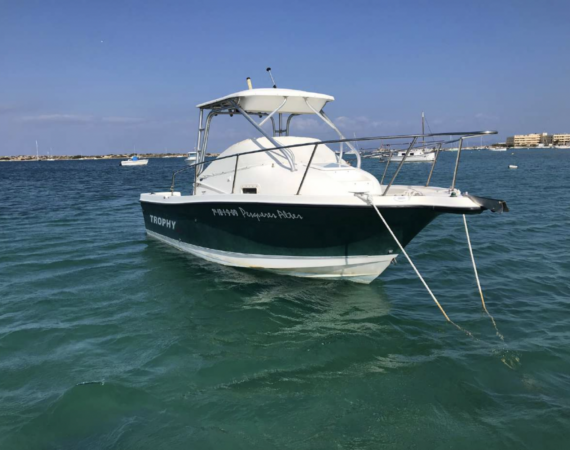 Captura de pantalla 2024-11-14 a las 18.39.38