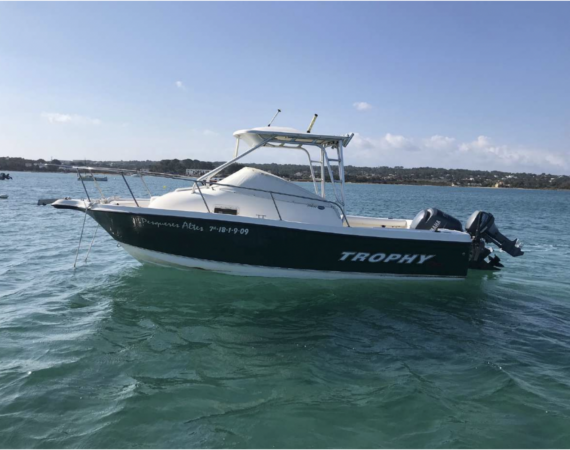 Captura de pantalla 2024-11-14 a las 18.39.52