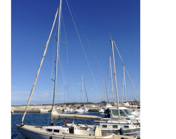 Captura de pantalla 2025-06-14 a las 11.36.20